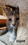 Fiona