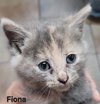 Fiona