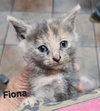 Fiona