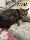 Anna & Elsa (Bonded Sisters)
