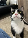 Oliver