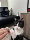 Oliver