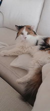 Greta