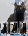 Camille