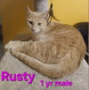 Rusty