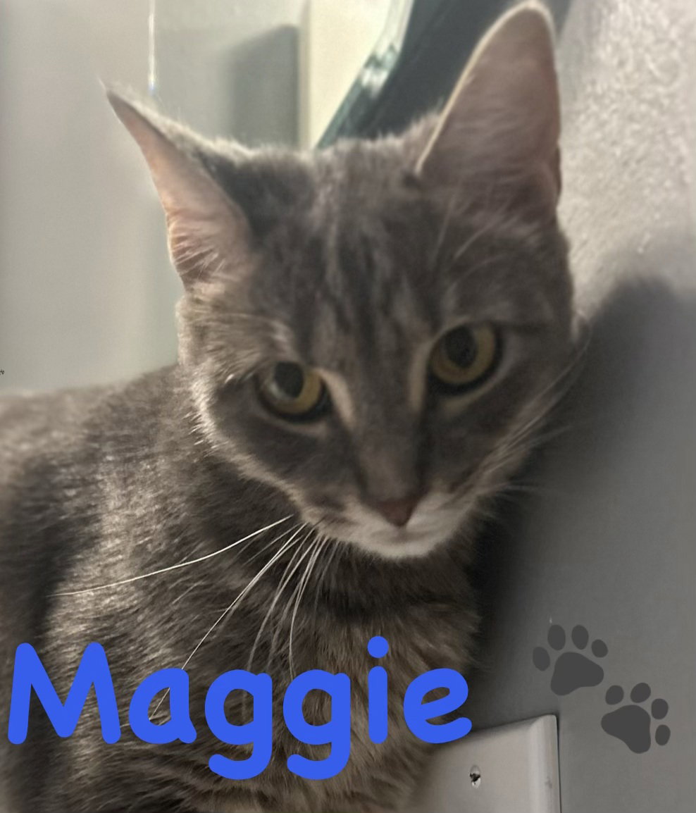 Maggie Image
