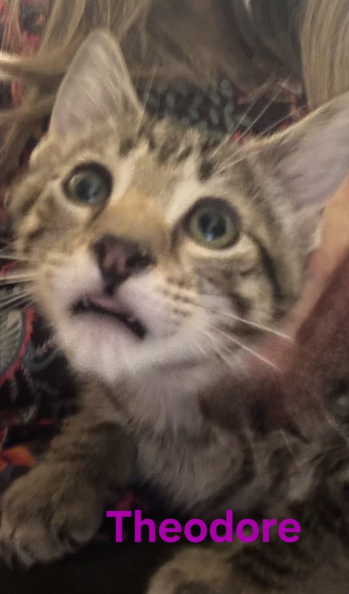 Theodore