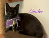 Cinder