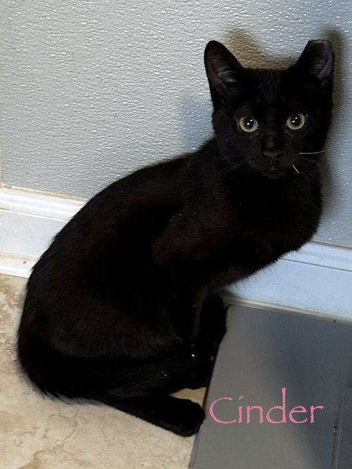 Cinder photo 2