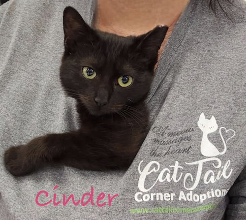 Cinder photo 3