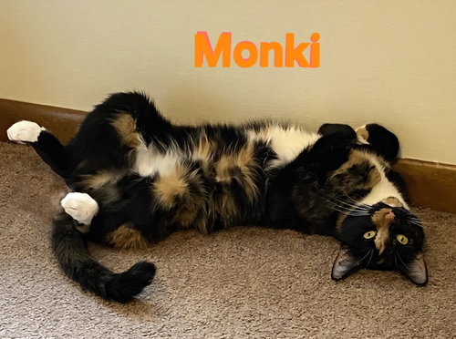 Monki photo 2