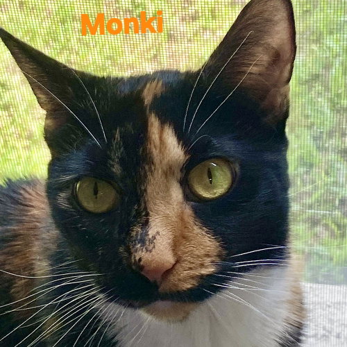Monki