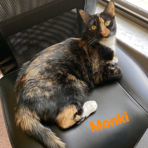 Monki photo 3
