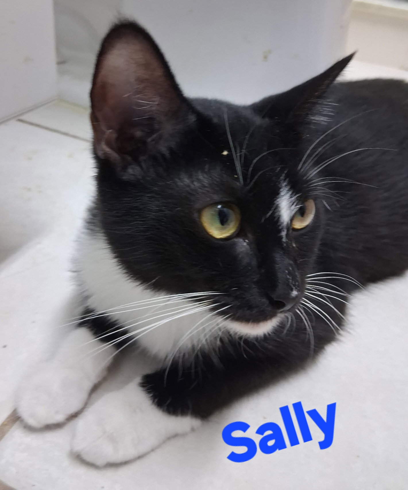 Sally