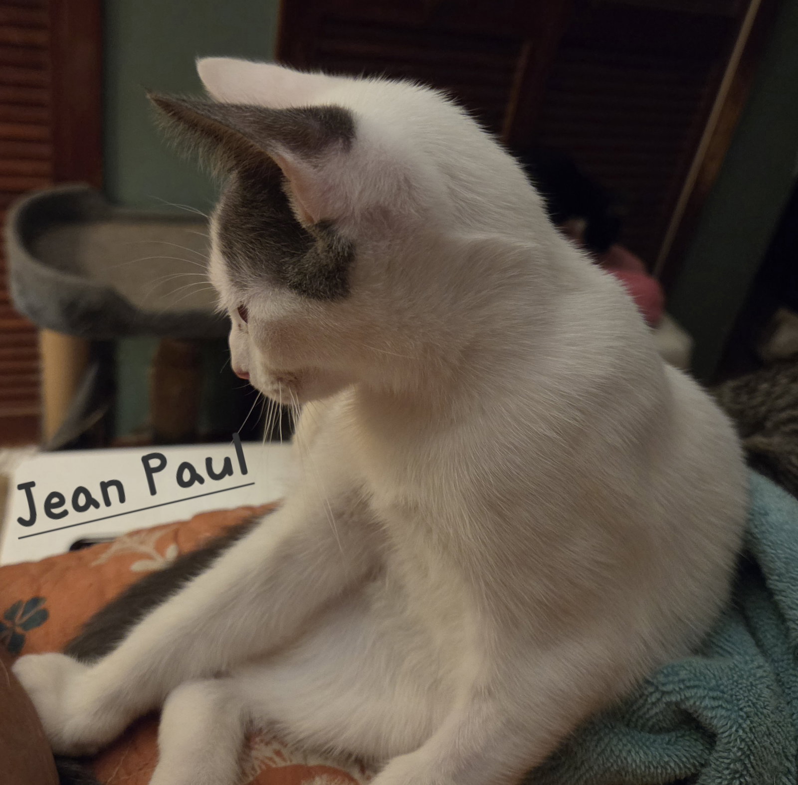 Jean Paul, photo 2