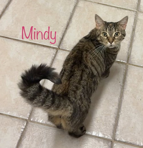 Photo 2 of Mindy