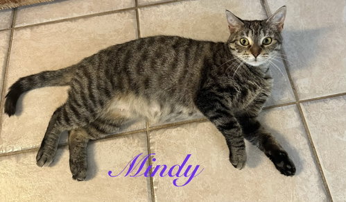 Photo 3 of Mindy