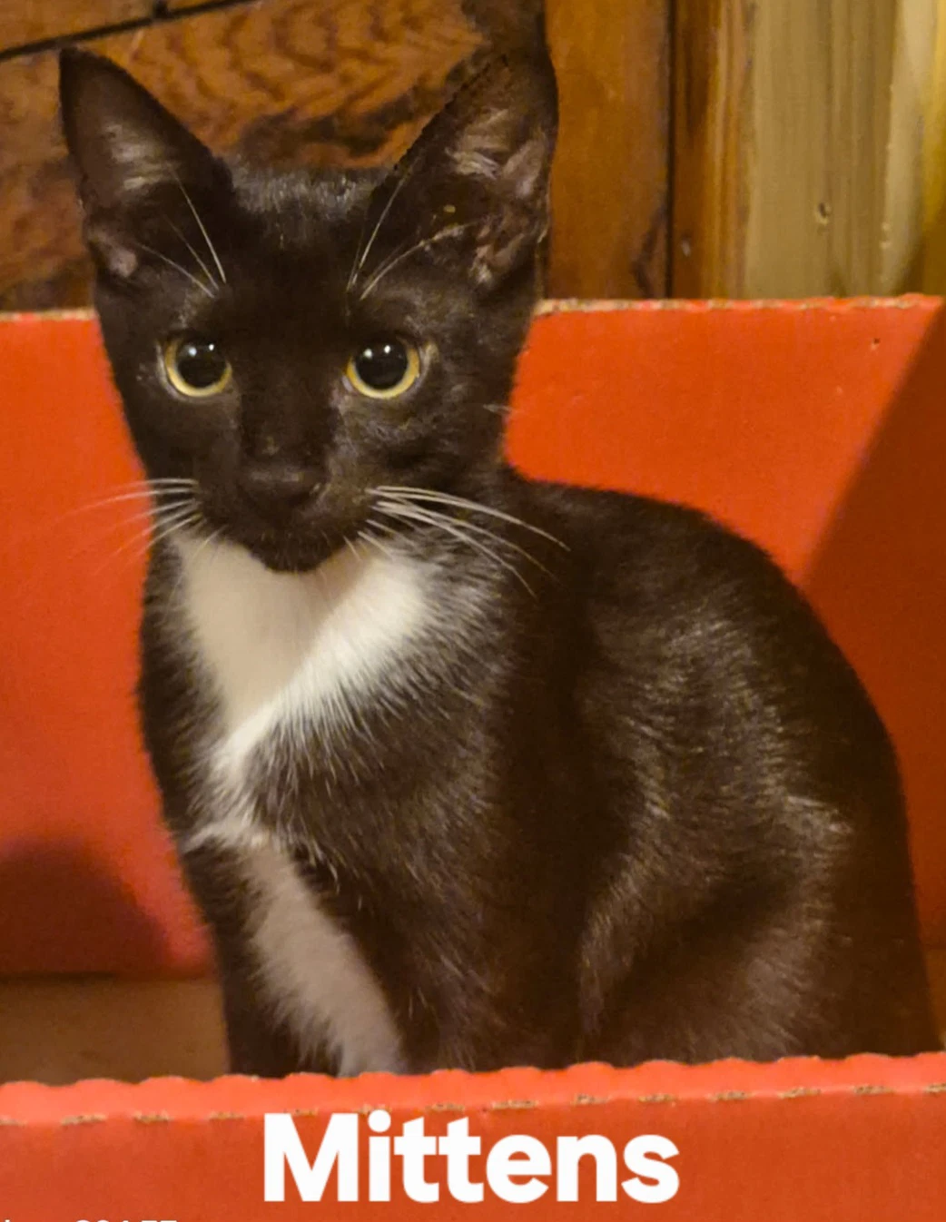 Mittens