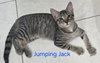 Jumping Jack