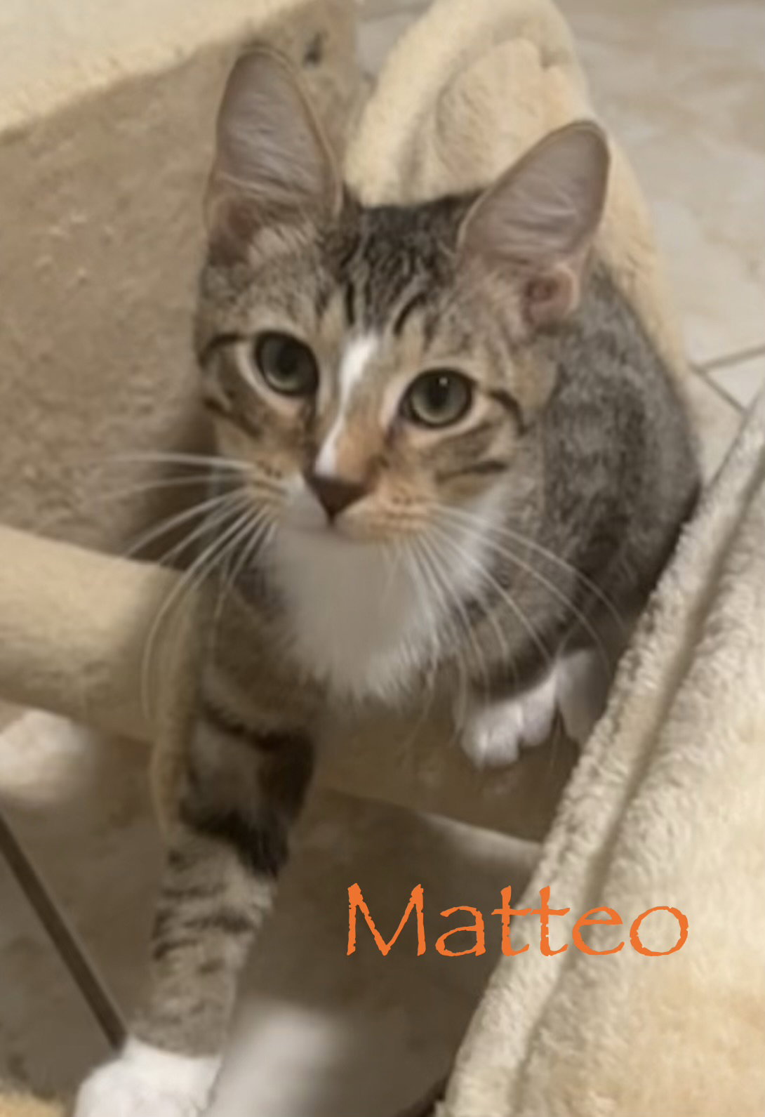 Matteo, photo 3