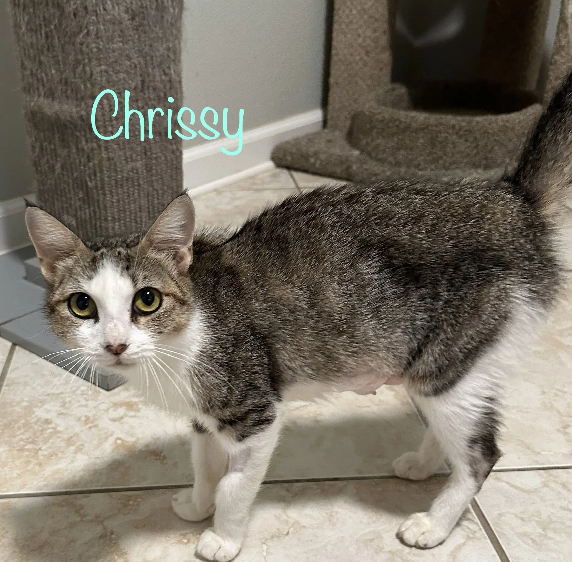Chrissy image 2