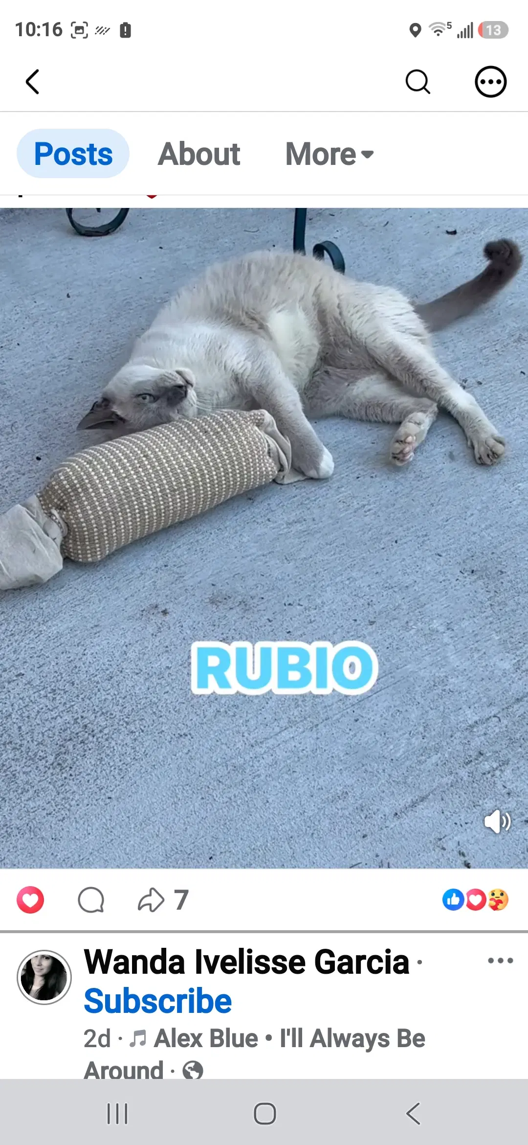 Rubio image 4