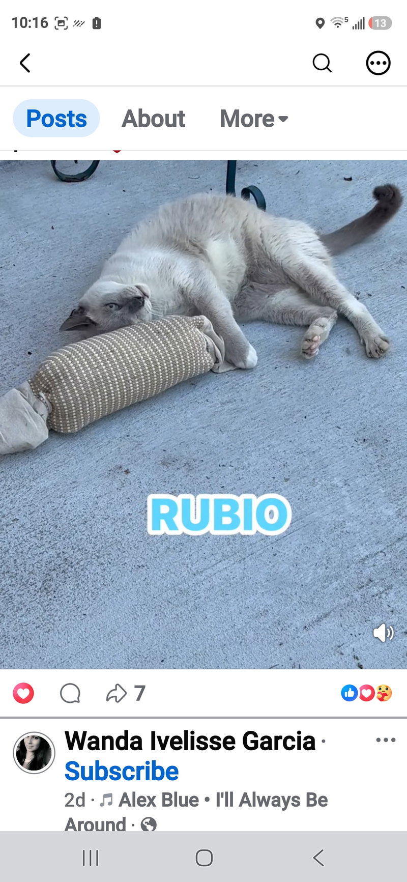 Rubio, photo 4