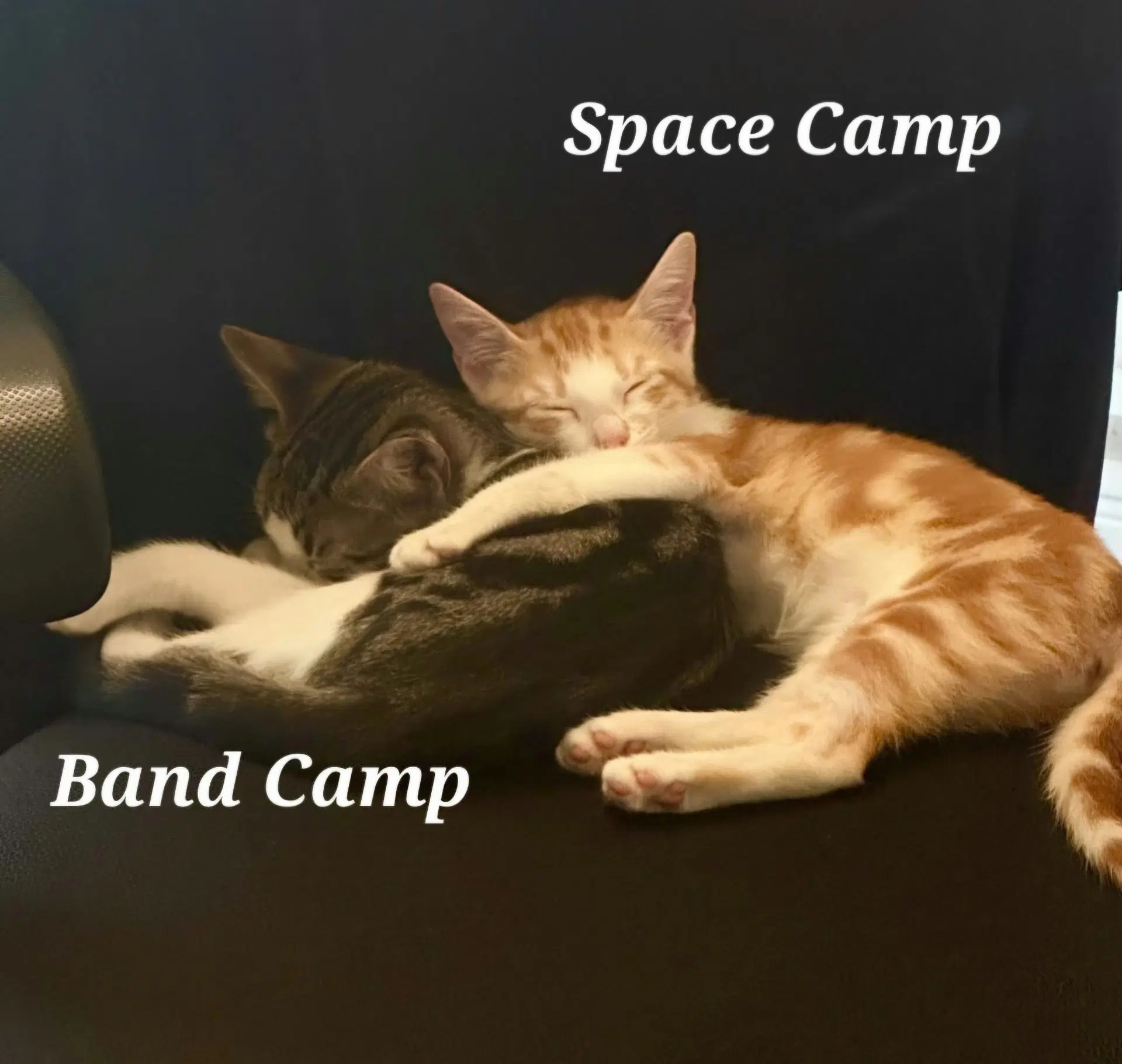Band Camp image 2