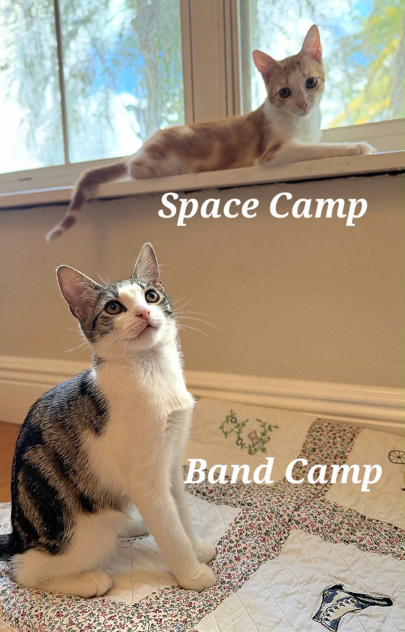 Band Camp, photo 5