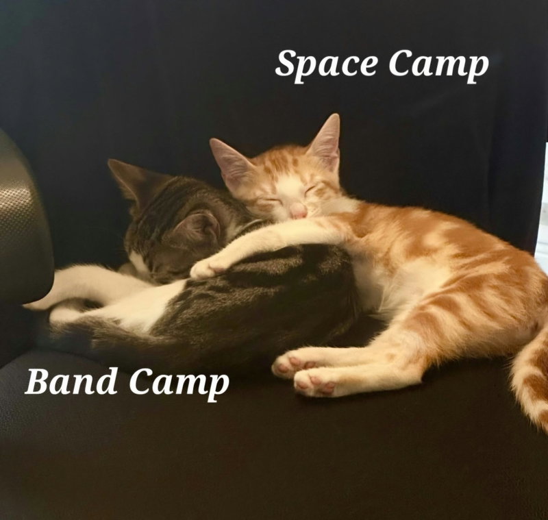 Space Camp, photo 7
