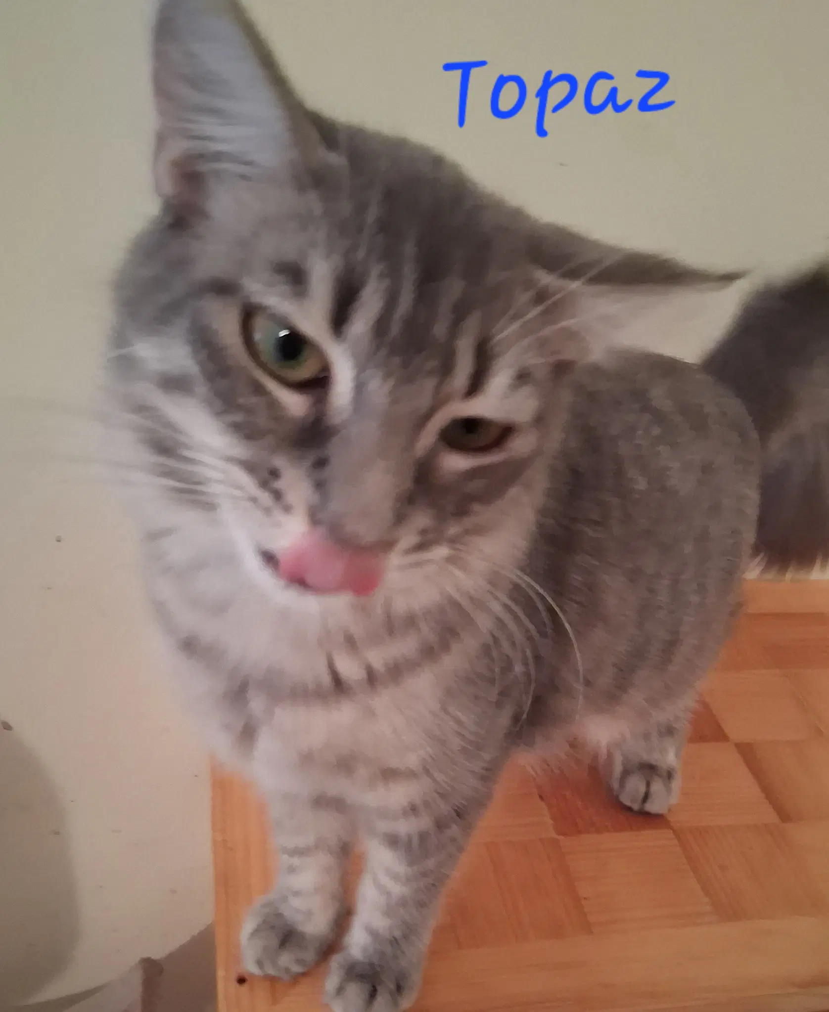Topaz image 1