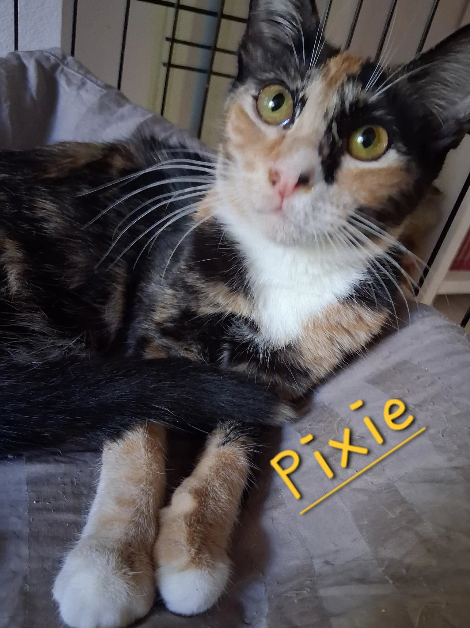 Pixie