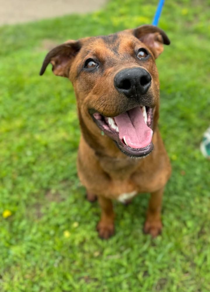 Zoey