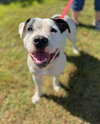 Darla - Photo 2