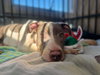 Charlotte - Photo 2
