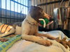 Charlotte - Photo 4