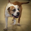 Oakley - Photo 5