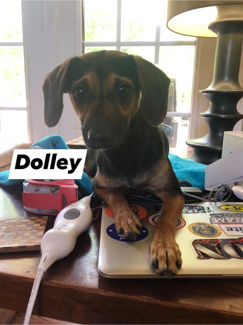 Dolley