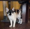 GiGi GW - Photo 3