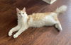 adoptable Cat in , MS named Tomeka