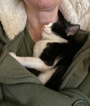 Boston Cream - Photo 1