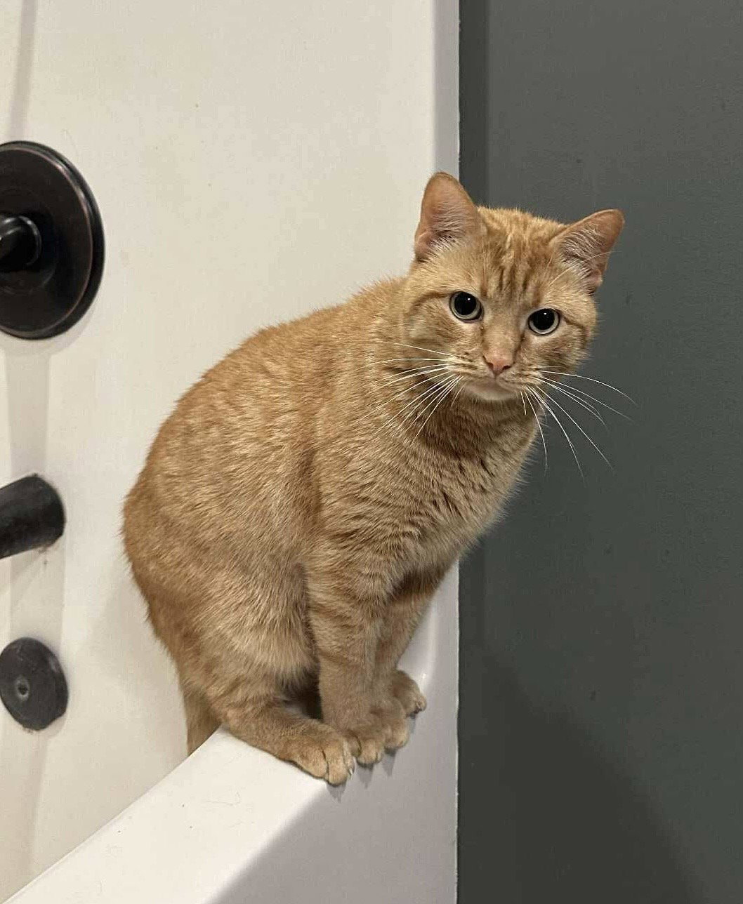 Peter