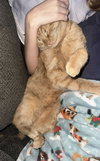 Peter - Photo 3