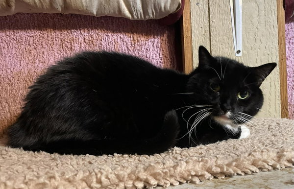 Tux