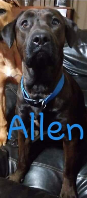 Alan