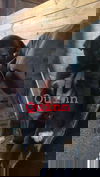 Quinn