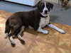 Shirley - Photo 1