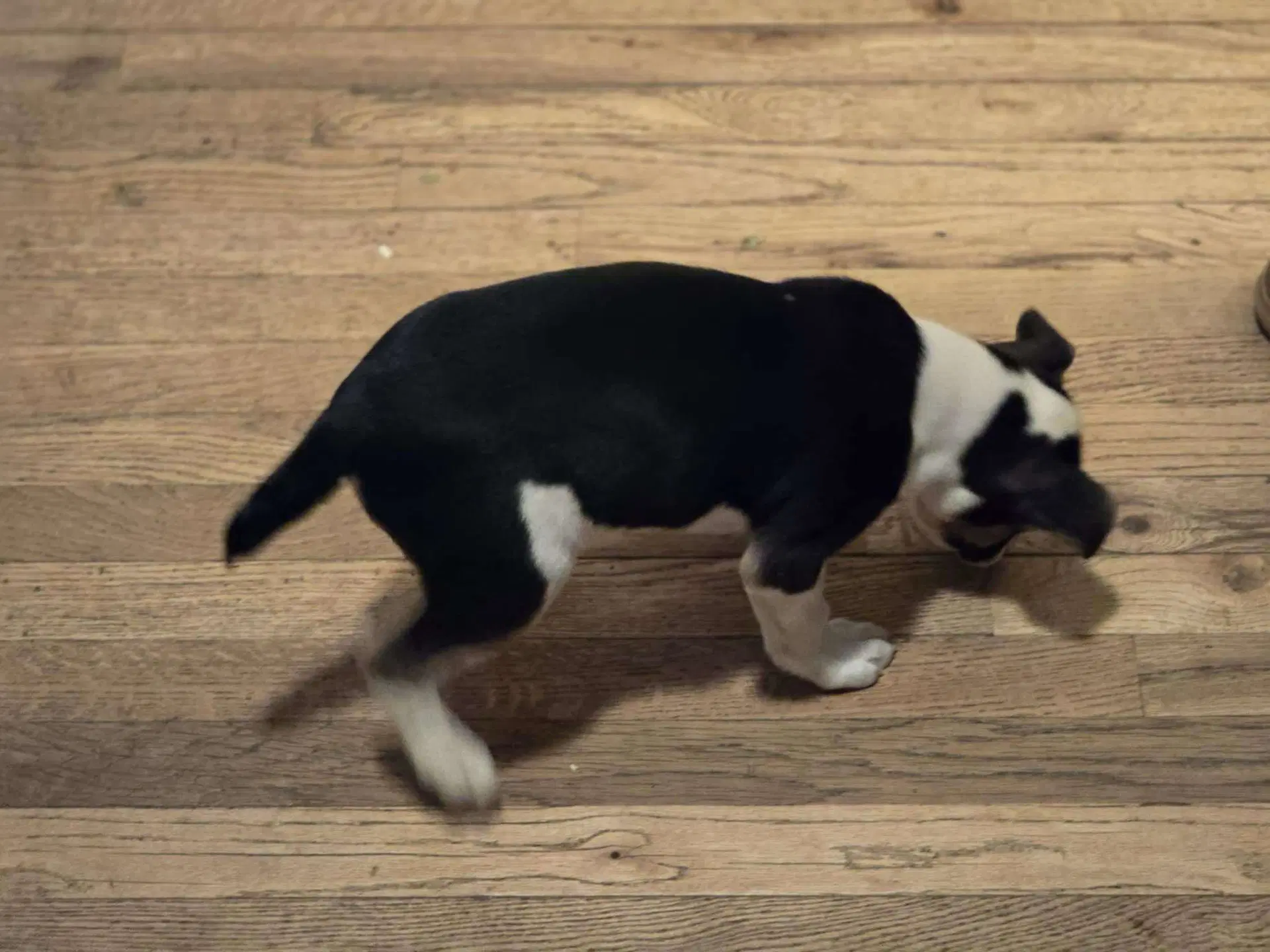 Sally image 3