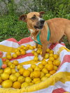 Penelope (Penny) - Photo 3