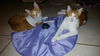 Benzi Rigsby Sep 2015